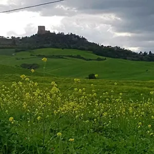 Casa vacanze La Casa Del Susino 